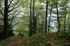 DSC01860