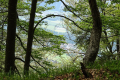 DSC01863