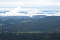 DSC01879