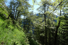 DSC01886
