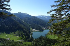 DSC01887