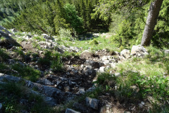 DSC01888