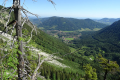 DSC01889