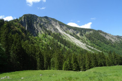 DSC01894