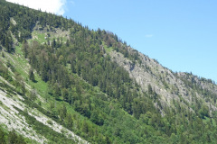 DSC01895