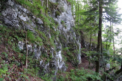 DSC01896