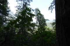 DSC01897