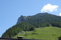 DSC01901