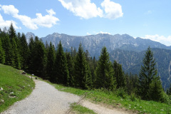 DSC01905