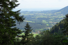 DSC01908