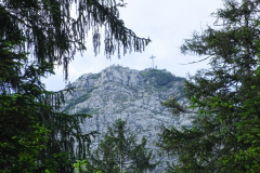 DSC01909