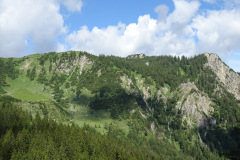 DSC01910