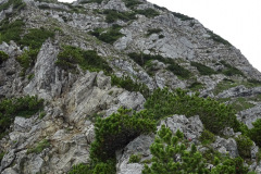 DSC01913