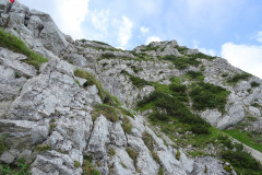 DSC01914