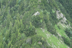 DSC01916