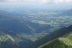 DSC01918
