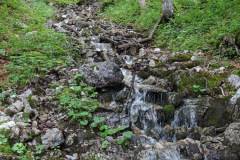 DSC01926