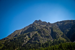 IMG_1418