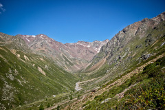 IMG_1447