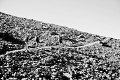IMG_1582