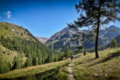 pano3