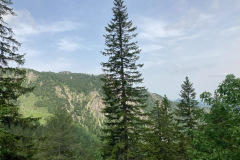 IMG_5222