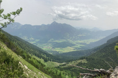 IMG_5245