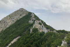 IMG_5294