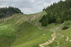 IMG_5297