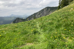 IMG_5299