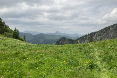IMG_5300