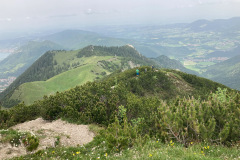 IMG_5311