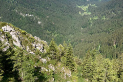 Leonhardstein-08