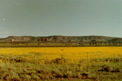 Route-66-313