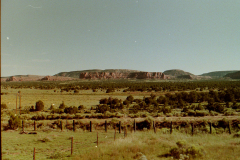 Route-66-314